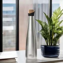 The Better Home Silver-Toned Stainless Steel Water Bottle 500ml-image-81