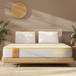 SleepyCat Hybrid Latex Orthopedic 6 inch Thickness King Size Mattress 75x72x6 Inches-image-80
