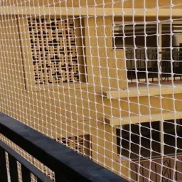 i geon UV Stabilized Nylon Pigeon Net_Bird Net_Monkey Net_10 X15 Feet_White Color Camping Net image 4