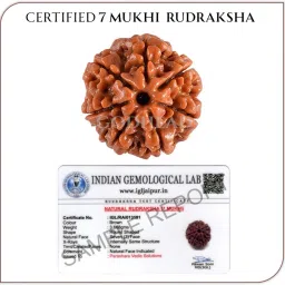 GODHEAD 100% NATURAL/ORIGINAL CERTIFIED NEPALI 7 MUKHI RUDRAKSHA WOOD PENDANT Wood Pendant-image-62