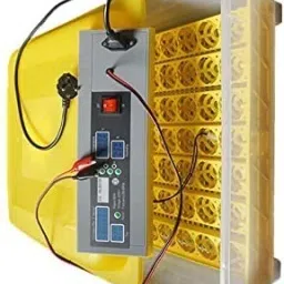 Egg Incubator, 48 Egg Incubator Eggs Fully Automatic Poultry Hatcher Machine with Temperature Control and Auto Turning, for Hatching Chicken Duck Goose Birds,48 Egg Incubator Eggs Egg Incubator-image-39
