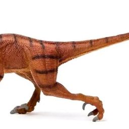 Velociraptor Dinosaur Toy for Kid Birthday Gift Realistic Dinosaur Action Figure-7