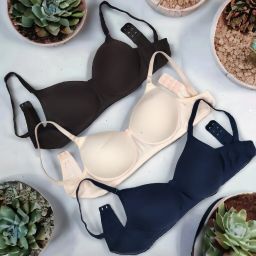 Pack of 3 Women Push-up Lightly Padded Bra-image-70