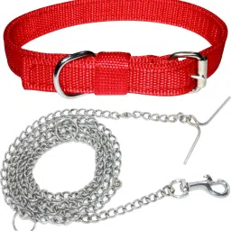 Dog Belt Combo of 3/4 inch Red Dog Collar with 200g Dog Chain Specially for Small Dogs & Puppies Under 10-15kg Adjustable Neck Size 14-17.5 inch Dog Collar & Chain-6
