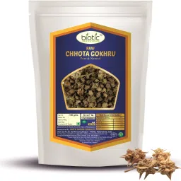 Raw Chhota Gokhru - Gokhroo Chota - Small Caltrops 100g Seed-image-13