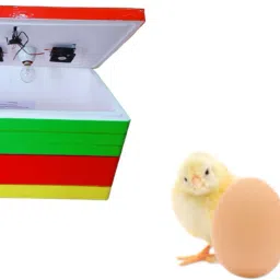 tm&w 100 Eggs Semi Automatic ,Egg Incubator Egg Incubator EBS materials, Egg Incubator image 4