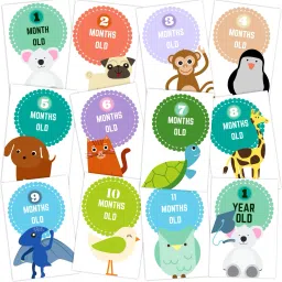 Baby Monthly Age Milestone Card Greeting Card-21