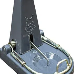 Black Cat Standard Rat Trap Mouse Catch (Grey, 1) Snap Trap-picture-15