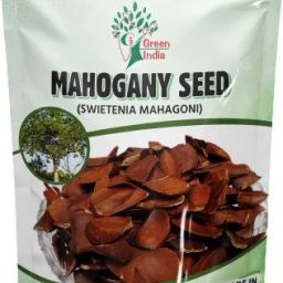 Sky fruit seeds -Mahogany Seeds mahogany seeds, mahogany seeds-25 Seed Seed-17