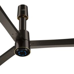 Insight-G 5 Star 1200 3 Blade Ceiling Fan-image-29