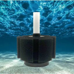 Biochemical Sponge Filter to Aquarium Fish Tank (XY - 280 Medium Size Filter) Sponge Aquarium Filter-image-62