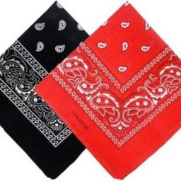 Rozy Collection MEN WOMEN HANDKERCHIEF ["BLACK RED"] Handkerchief-image-19