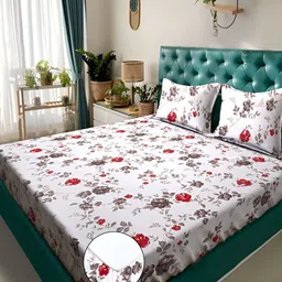 KLOTTHE White Floral Printed 300 TC Fitted Double King Bedsheet With Pillow Cover-image-71