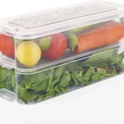 Plastic 2 Step Food Storage Container for Vegetables, Fruits, Fish, and Meat Storage Basket-42