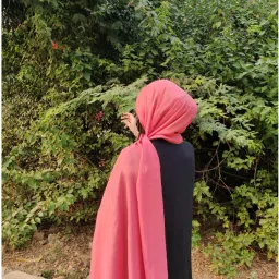 Solid Georgette Women Pink Scarf-image-11