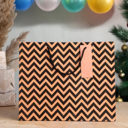 Printed Party Bag-22