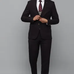 Men Single Breasted - 2 button Solid Suit-image-71