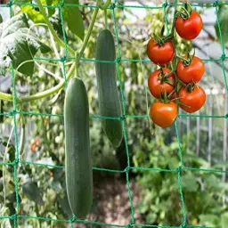 Plant Climbing Net & Creeper Support for Agriculture 5Feet x 10 Feet Insect Net-25