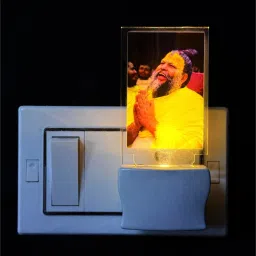Picture Light Wall Lamp With Bulb-30
