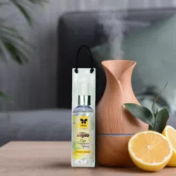 Citric Tango Car Freshener Spray-image-45