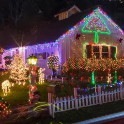 lopvi 56 LEDs 20 m Multicolor Color Changing, Flickering, Steady String Rice Lights image 2