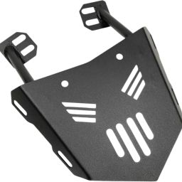 dhe best Adjustable Driver and Passenger Backrest image 4