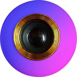 wahh Smart LED Music Light Bulb Speaker Bluetooth Remote Controller B22 RGB LED Bluetooth Lights Bulbs Speaker Gold SAT01 Smart Bulb-19