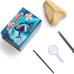 kimon toys Dig & Discover - Excavation Box - Combo 3 - Moon Mars Shark image 4