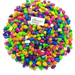 Multicolor Pabbles/Stone For Garden, Plants, Aquarium & Home Decor Marble Unplanted Substrate-picture-10