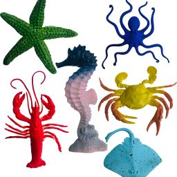 Aquatic Sea Animal Toys for Kids – Realistic Rubber Ocean Animal Set toys-image-31