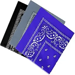 Bismaadh Paisley Print Cotton Bandana Fashion Soft Stretch Head Wrap Headband Hair Band for Men & Women ["Black","Grey","Royal Blue"] Handkerchief-image-80