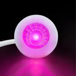 LED COB Spot Light, Button Light 3 WATT Down Light, Cabinet Light, Pink, 1 Spot Light Ceiling Lamp-21