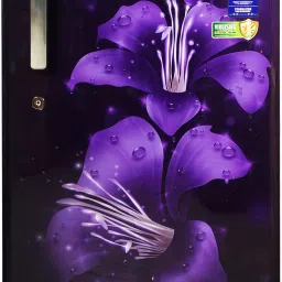 188 L Direct Cool Single Door 3 Star Refrigerator-image-60