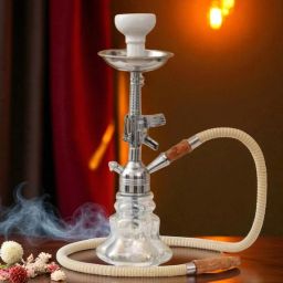SmokeBliss Compact Hookah Set 16 inch Iron Hookah-image-54