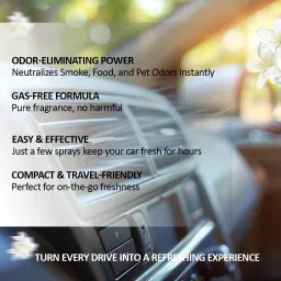 love your car Freshly Car Perfume with Fruity, Leathery, Amber, No Gas | Long-Lasting Spray image 3