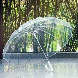 Transparent Umbrella (1 Pcs) Umbrella-picture-25