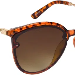 UV Protection, Gradient Cat-eye, Oval Sunglasses (61)-image-10
