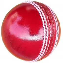 mahadev Anatomy leather ball_PEECORP-BL Cricket Leather Ball-picture-0