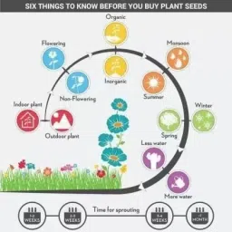 aero seeds Combo of 40 variety 3500+ flower with instruction manual. Seed image 3