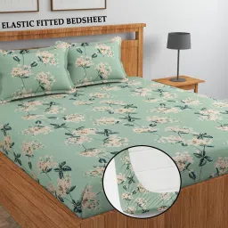 255 TC Cotton King Printed Fitted (Elastic) Bedsheet-19