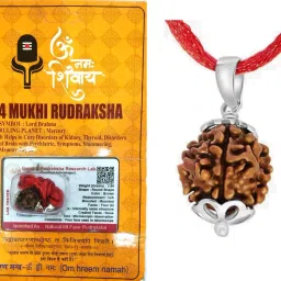 4 Mukhi Rudraksha, 4 face Rudraksha Kawach Four Rudraksh Locket Pendant Wood Locket-image-63