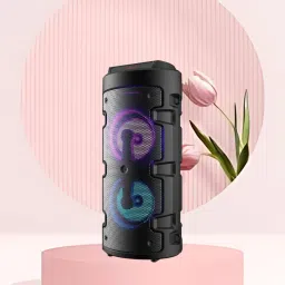 FRONY DJ Box Speaker with FM Radio, Mic & USB Pen Drive 20W Bluetooth SpeakerNA285 20 W Bluetooth Party Speaker-image-36