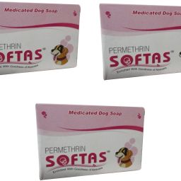 anti-tick & flea Dog Medicated Dog Soap (75 Gram) Pack of 3 Pet Spa Kit-image-46