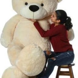 Stuffed Spongy Teddy Bear valentine/Birthday Gift 5 Feet (Pink) - 152 cm (Pink) - 0.9 inch-image-3