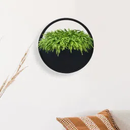 metalsmith Elegant (Pack Of 1) Black Iron Wall Mount Planter-picture-12