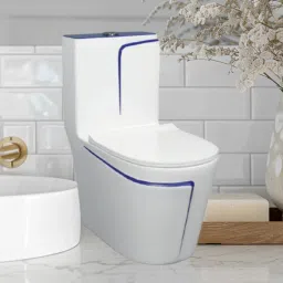 C02 Premium White Commode With So Blue Finishing Line And Round Flush Button Western Commode-picture-24