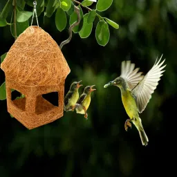 liveonce natural bird feeder Window Bird Feeder Bird Feeder image 4