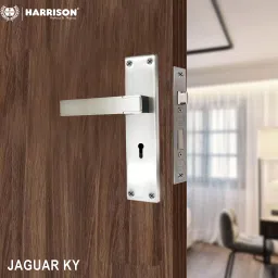 harrison Stainless Steel Glossy Handlesets image 5