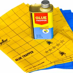 Glue Trapper Insect killer, Non Toxic, Non Drying, Organic Yellow & Blue Sticky trap (Reusable) For Insects, Whiteflies, Aphids, Leaf Minor, Thrips, Absorbent pest.-image-53