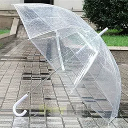 Transparent Rain Imported Umbrella-picture-12